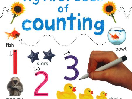 Wipe Clean Casebound: Counting on Sale