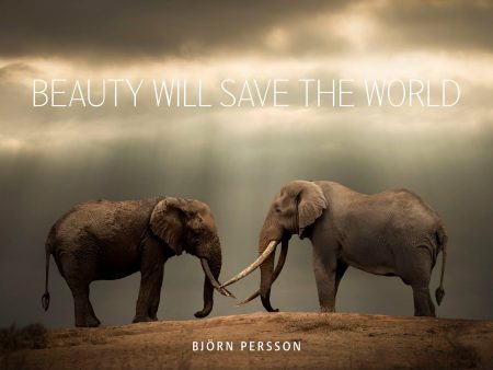 Beauty will save the world on Sale