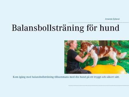 Balansbollsträning för hund Sale