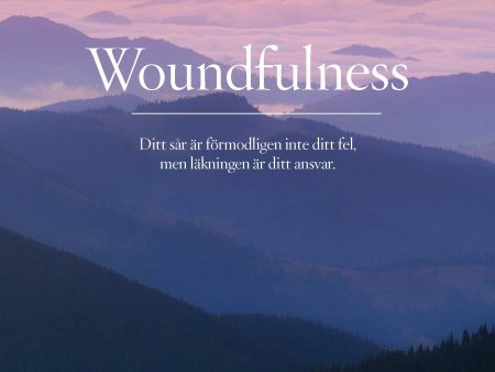 Woundfulness : ditt sår är förmodligen inte ditt fel, men läkningen är ditt ansvar For Cheap